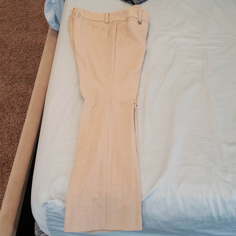 Suit pants
